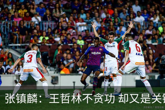 张镇麟：王哲林不贪功 却又是关键时刻能站出来的人 队长当之无愧